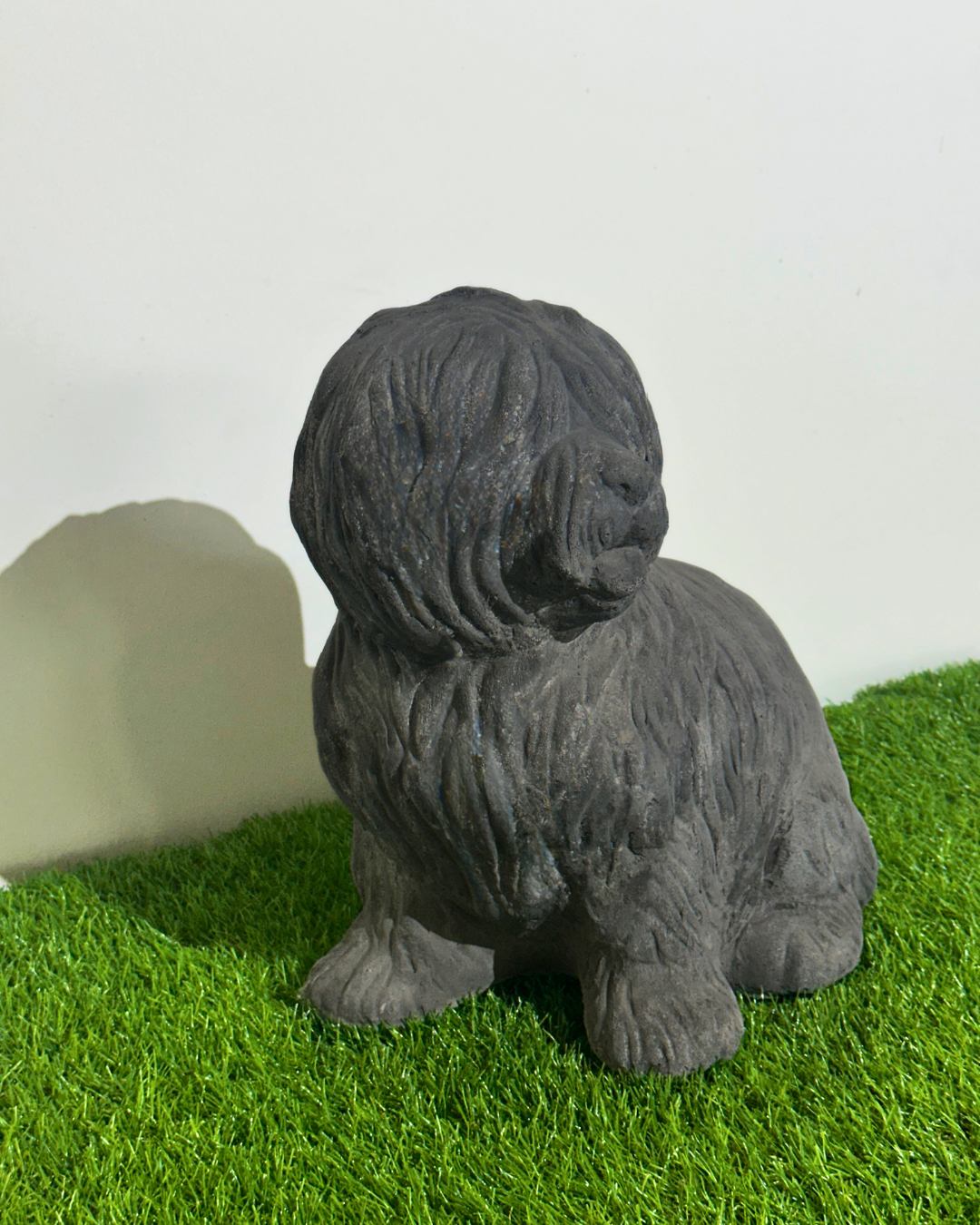 „Lotte der Zottelhund“ – Ein Herz auf vier Pfoten