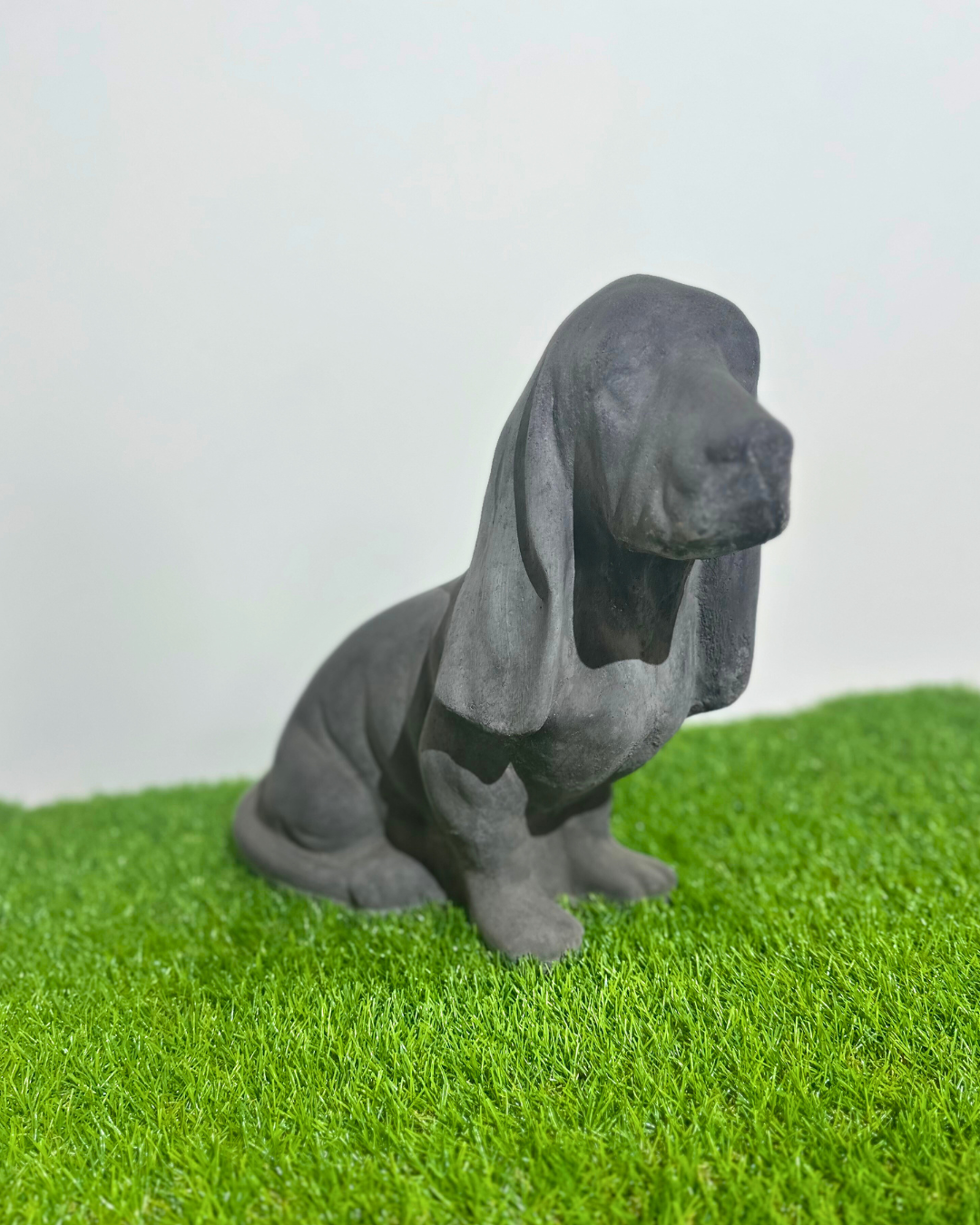 „Bruno der Beagle“ – Treuer Begleiter mit Charakter