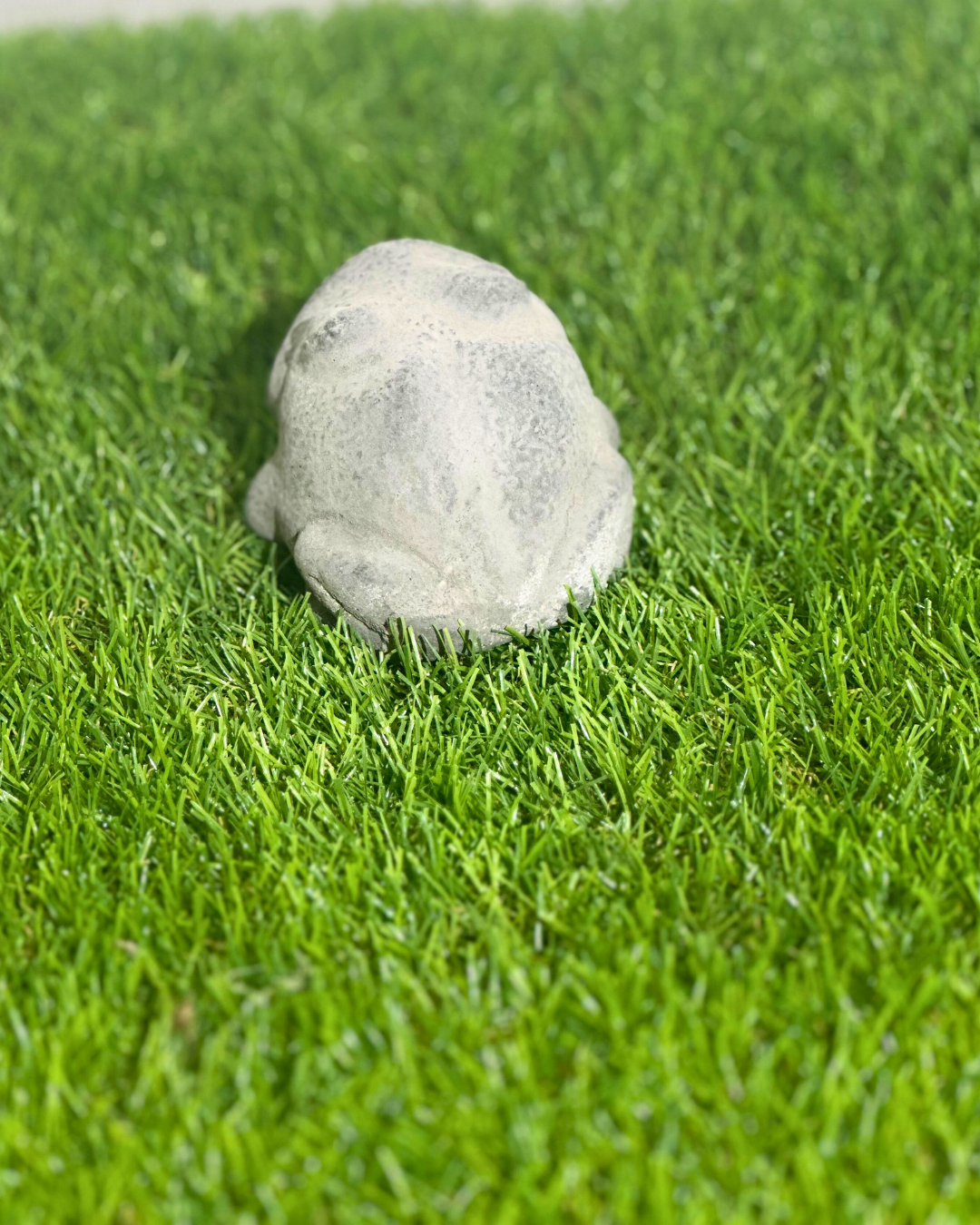 Gartenfigur „Quaki der Frosch“ – Der König der Gartengeräusche