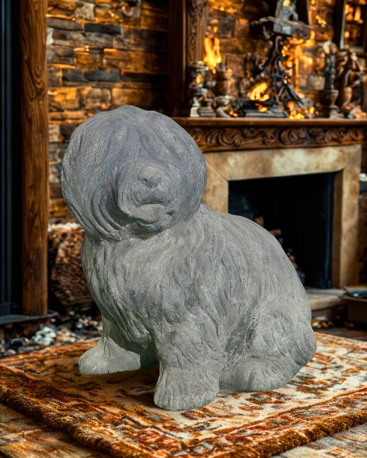 „Lotte der Zottelhund“ – Ein Herz auf vier Pfoten