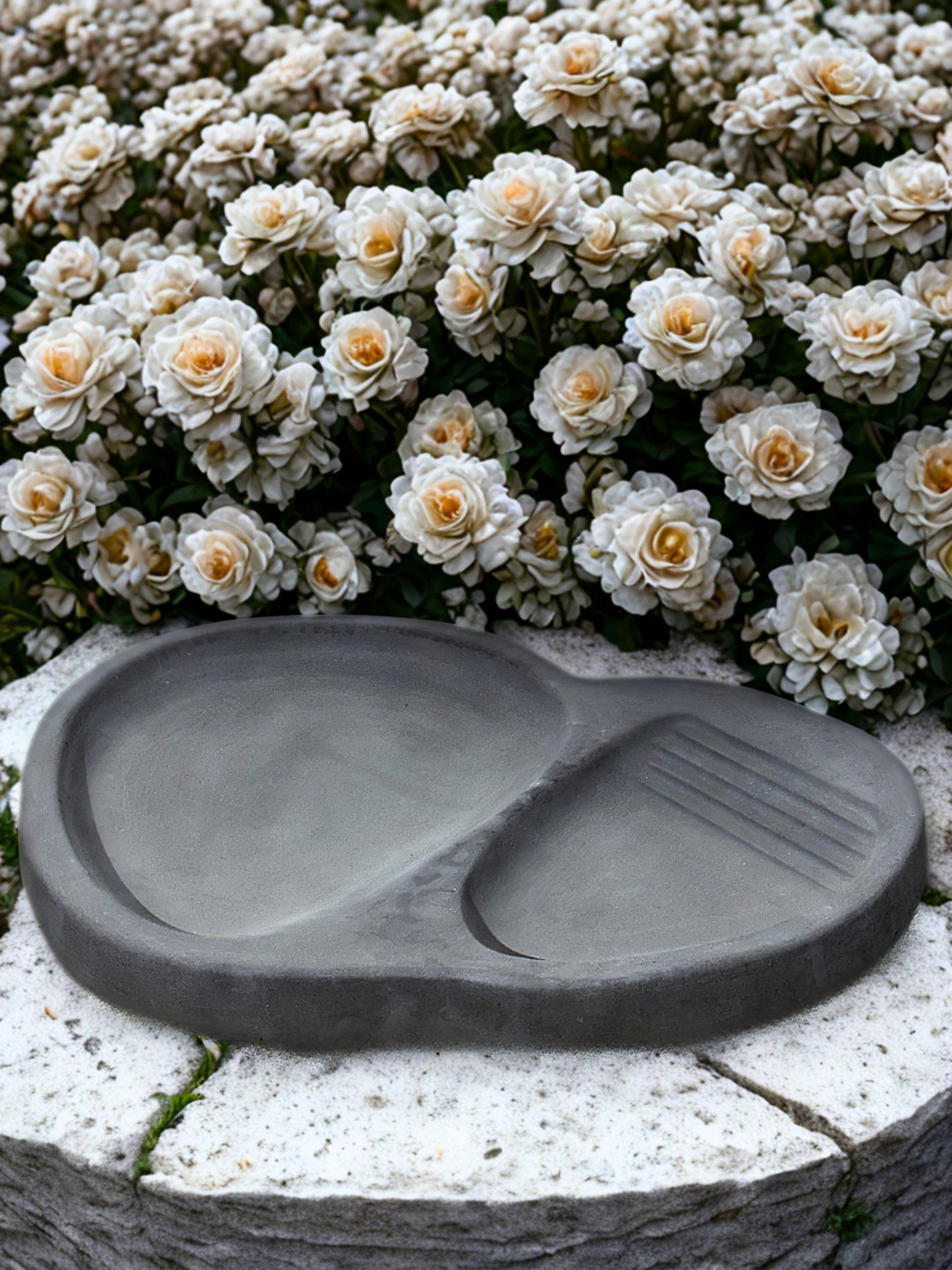 Vogeltränke „Mini-Pool“ – Wellness für die gefiederten Freunde